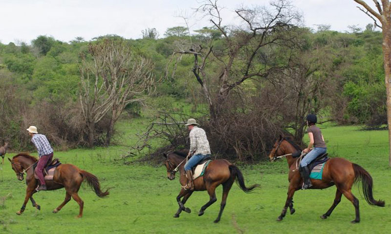 Horse-riding